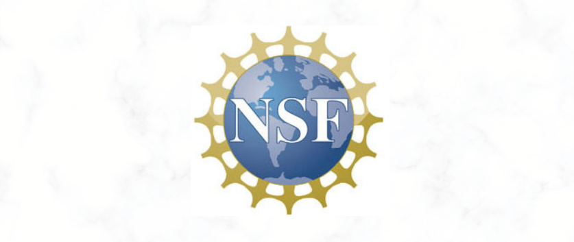 National Science Foundation Update - Time to Cast Your VOTE
